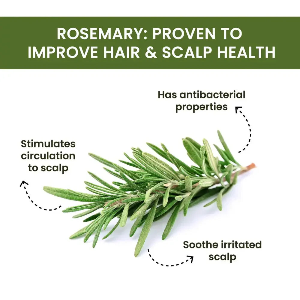 Rosemary Water Spray | For Hair Regrowth (Buy 1 Get 2 Free 😍) Zapiffy.store