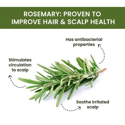 Rosemary Water Spray | For Hair Regrowth (Buy 1 Get 2 Free 😍) Zapiffy.store